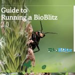 BioBlitz Guide