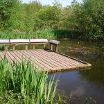 Pond_dipping platform at Kingstown Wildlife Pond in Carlisle